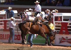 Calgary Stampede-1597